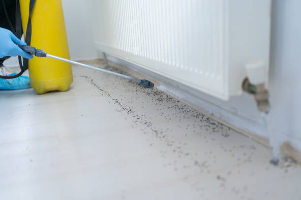 Professional Pest Control in Vineland, NJ