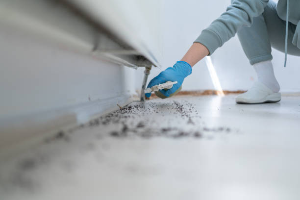 Best Mosquito Control Services  in Vineland, NJ