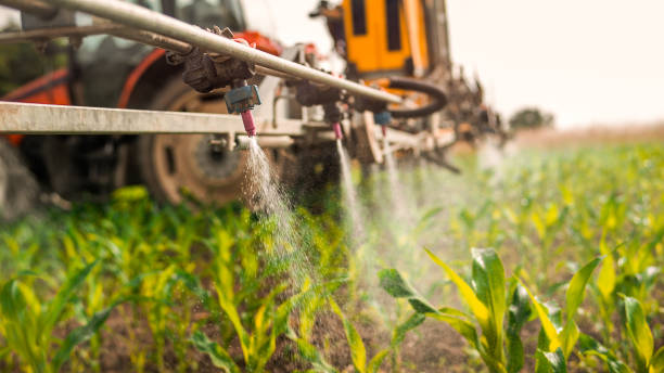 Best Ant Control Services  in Vineland, NJ