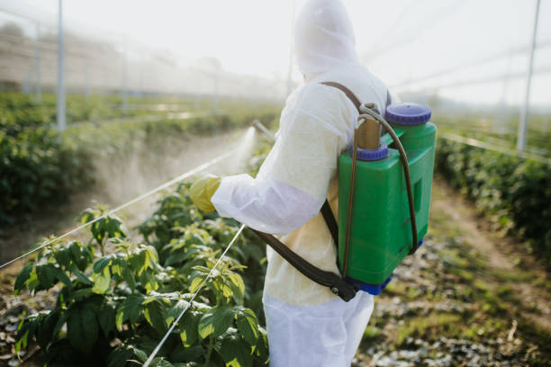 Best Emergency Pest Control  in Vineland, NJ